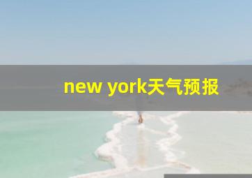 new york天气预报